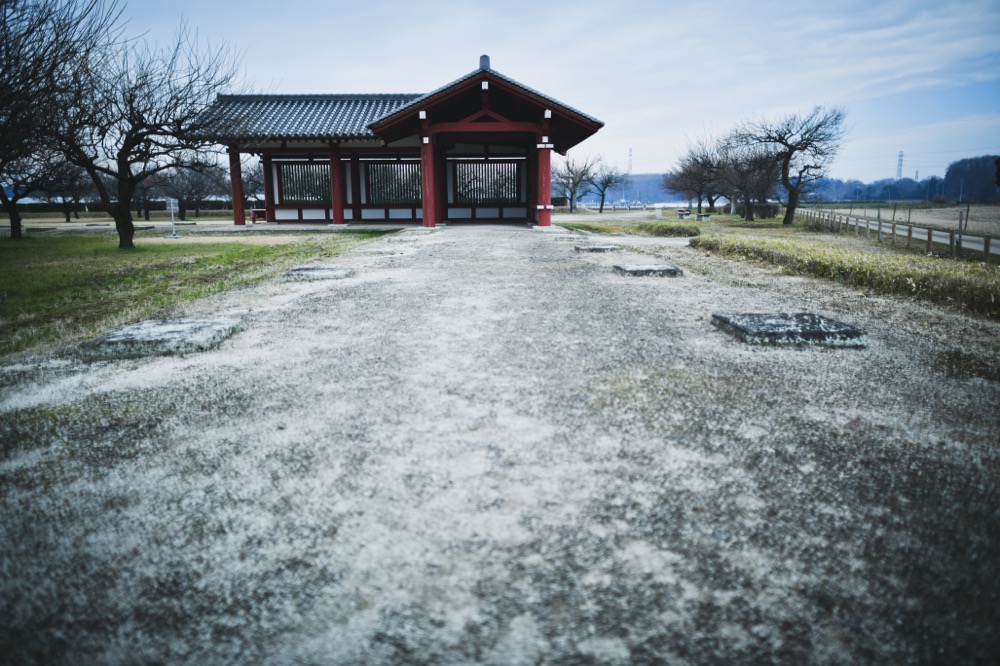 【下野薬師寺跡 歴史】栃木は仏教の先進地でした。そのヒントがここに