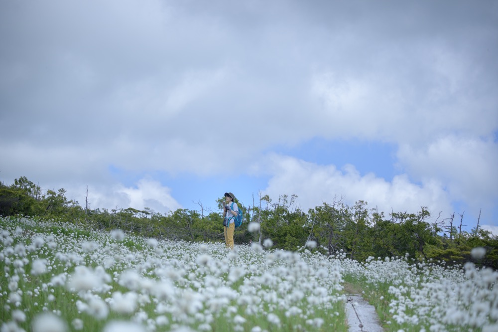 【尾瀬国立公園 田代山→帝釈山 登山と写真】福島が好きになる6月の花見登山