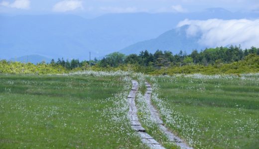 【尾瀬国立公園 田代山→帝釈山 登山と写真】福島が好きになる6月の花見登山