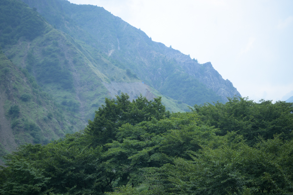 【足尾銅山観光 レポ】日本一の銅山を学び思うこと