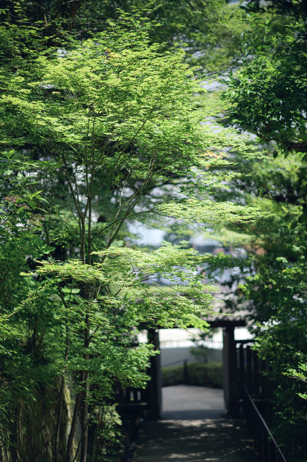 【宇都宮 二荒山神社】栃木とグンマーのパイオニアに礼