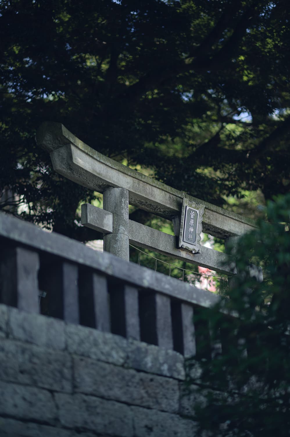 【宇都宮 二荒山神社】栃木とグンマーのパイオニアに礼